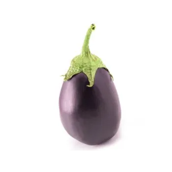 Brinjal (31)-1756341-21787.webp